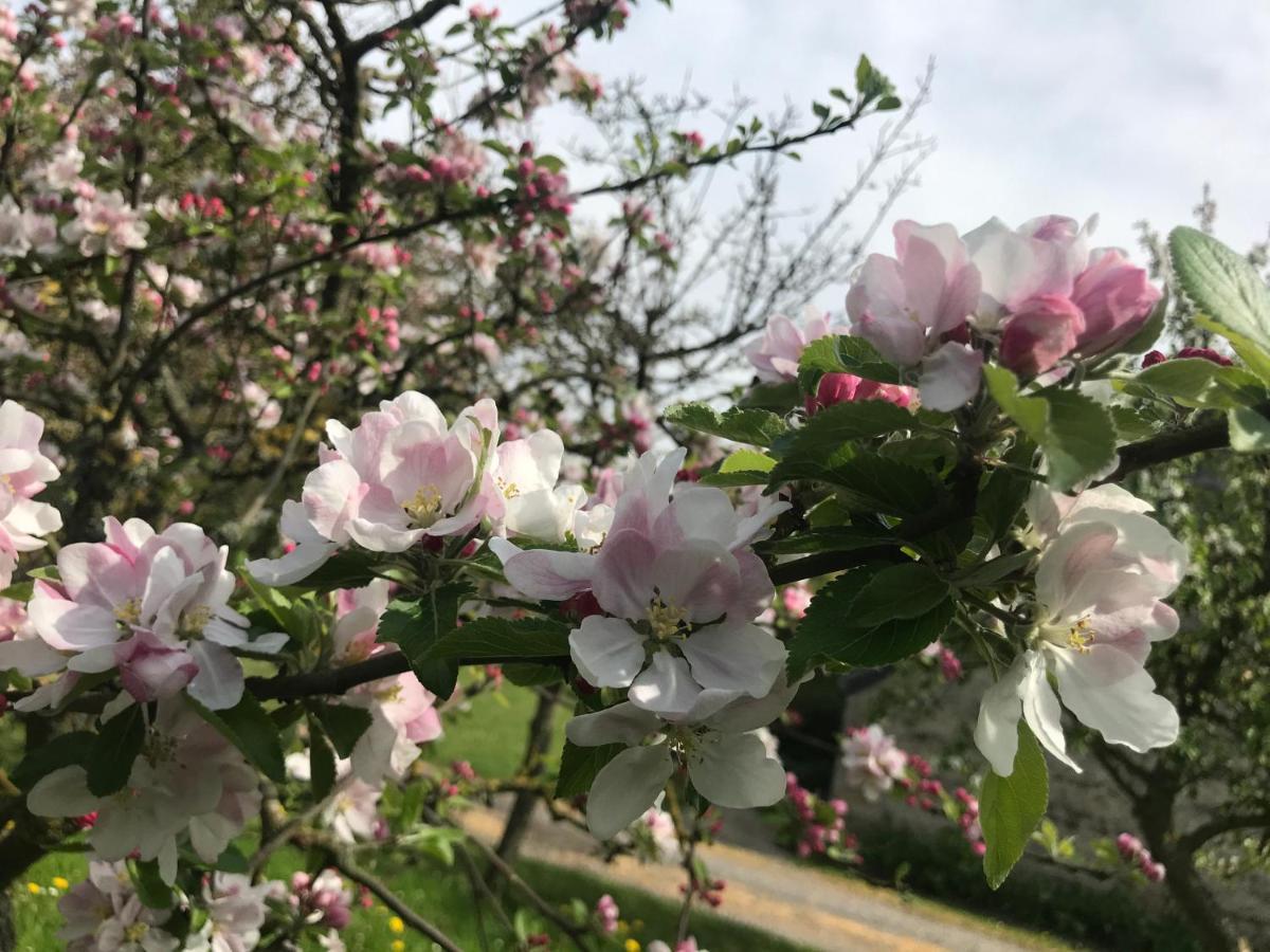 Normandia Du Lieu Foison Villa Nonant Kültér fotó